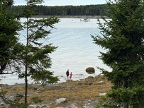 Kids playing on an overcast morning