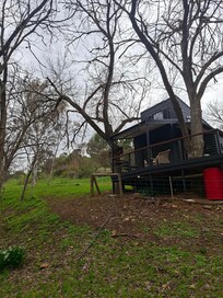 Cabin.
