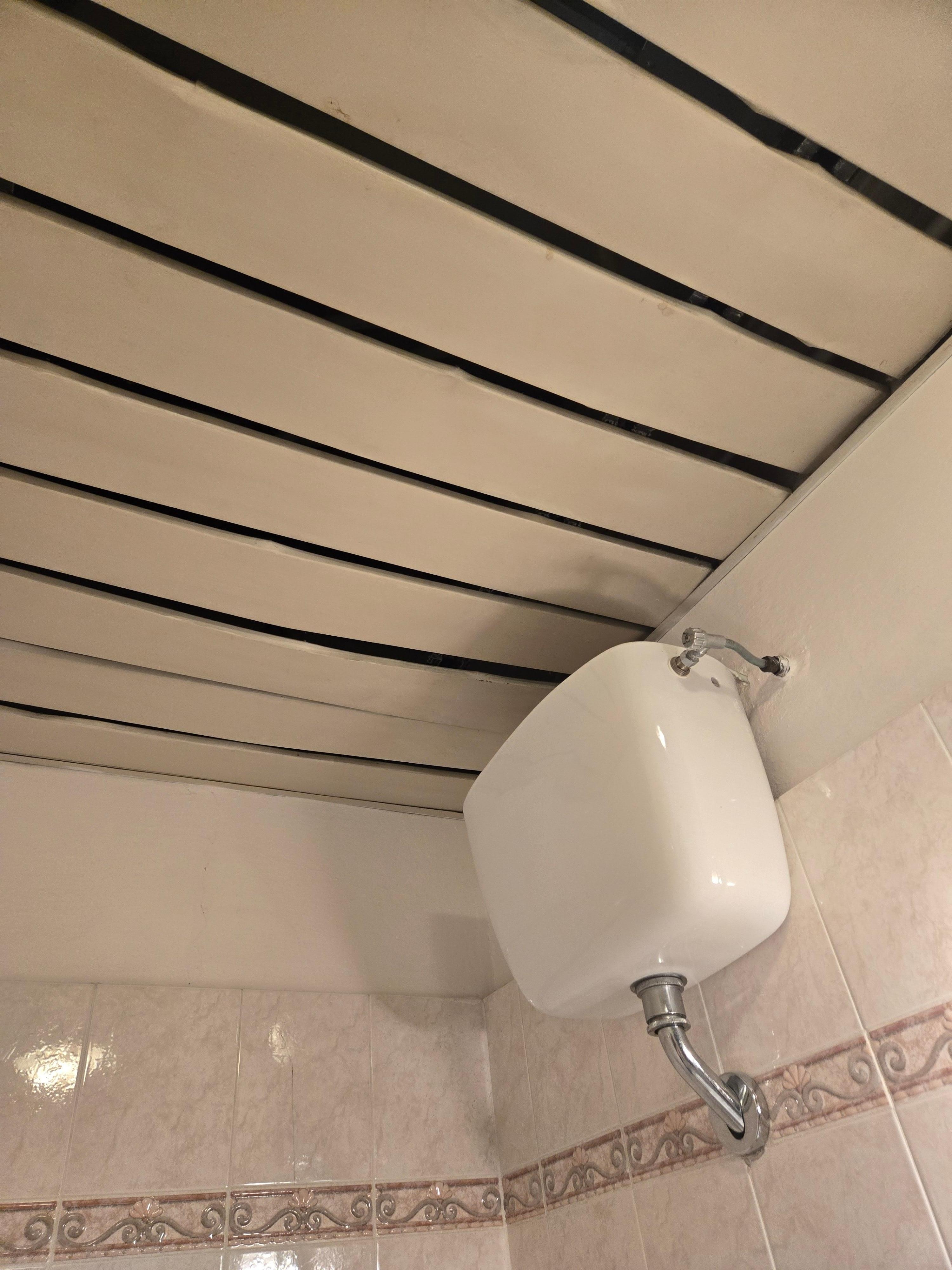 Bathroom ceiling
