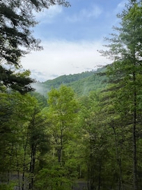 View from back deck
