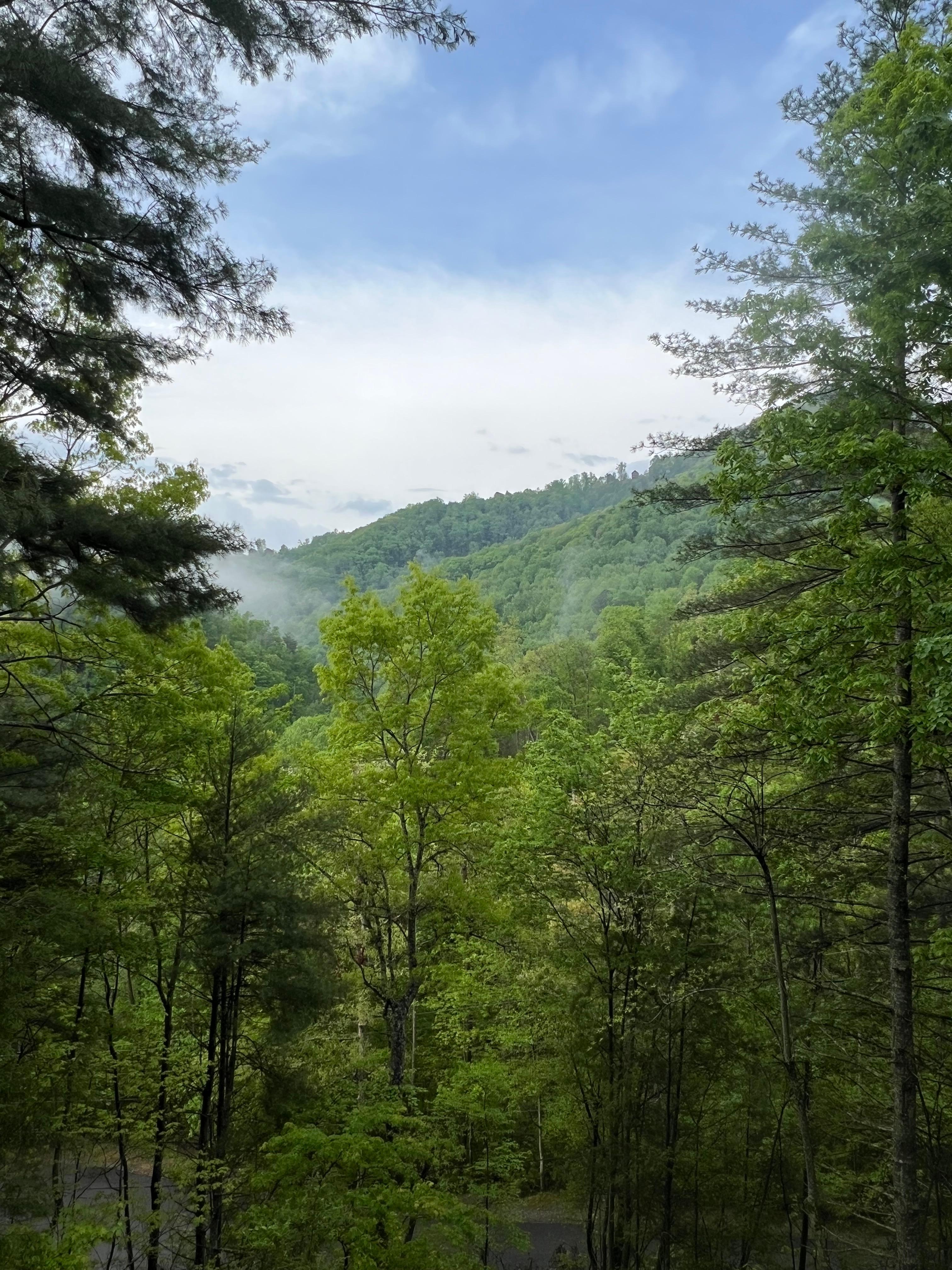 View from back deck