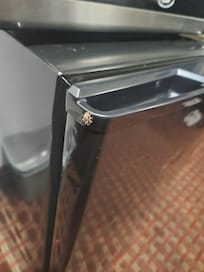 Bugs in my refrigerator Hon check in of the cleanest room they had. (I had a previous room that looked like a garage dumpster).