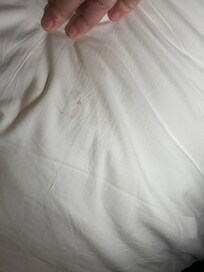 Disgusting blood on the blanket on arrival
