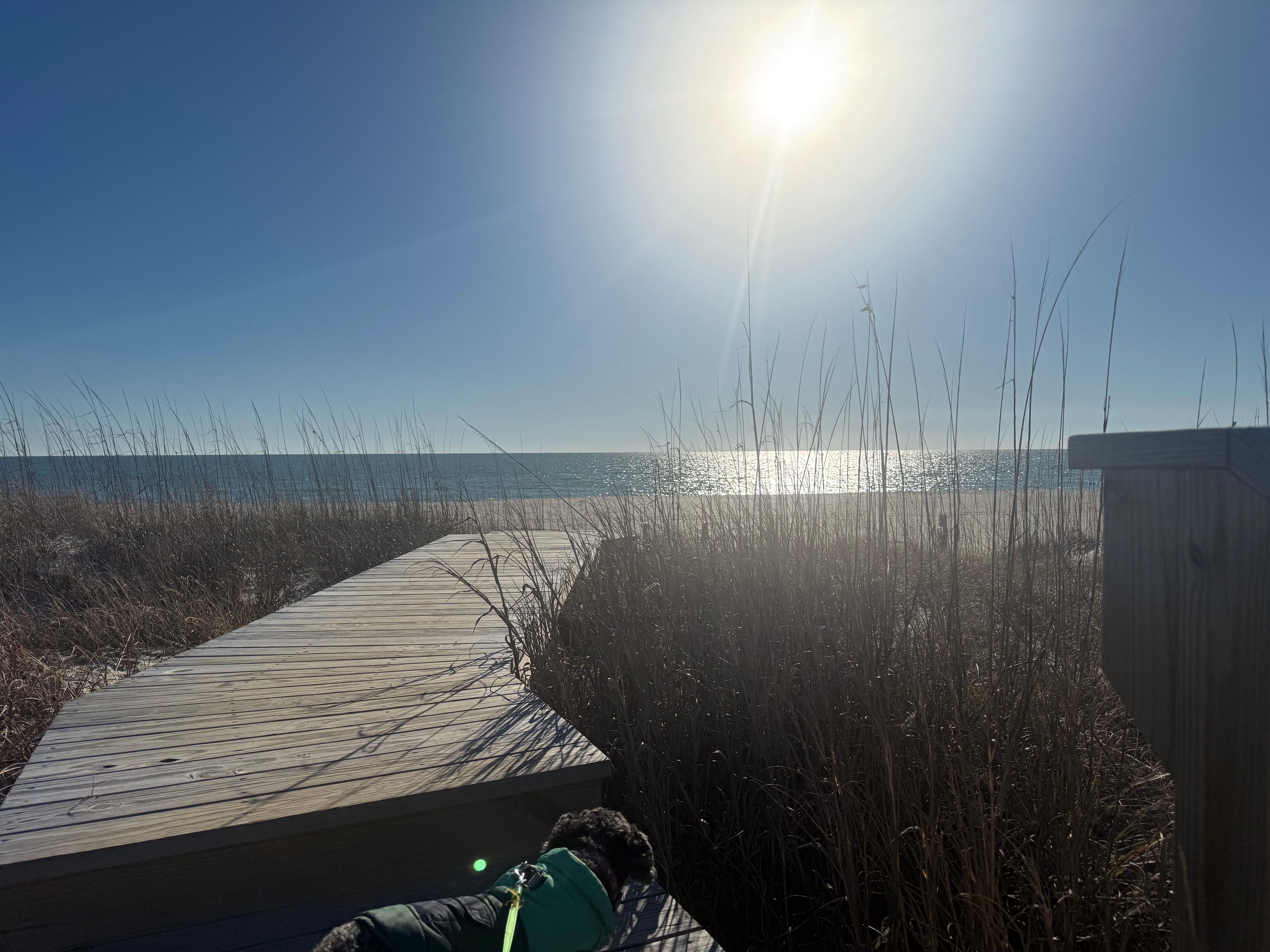 Short walk to the beach!