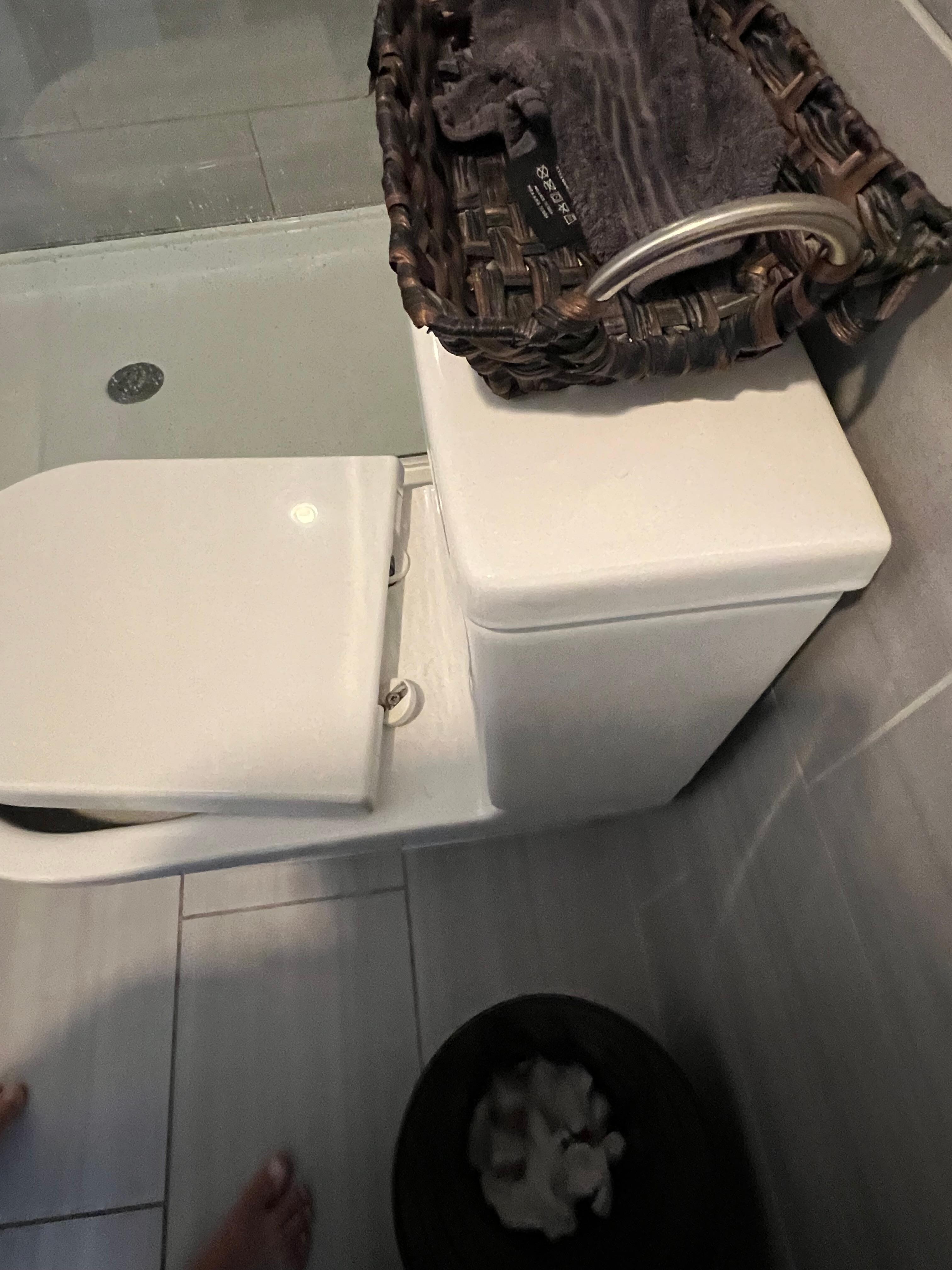  (Still) broken toilet seat 