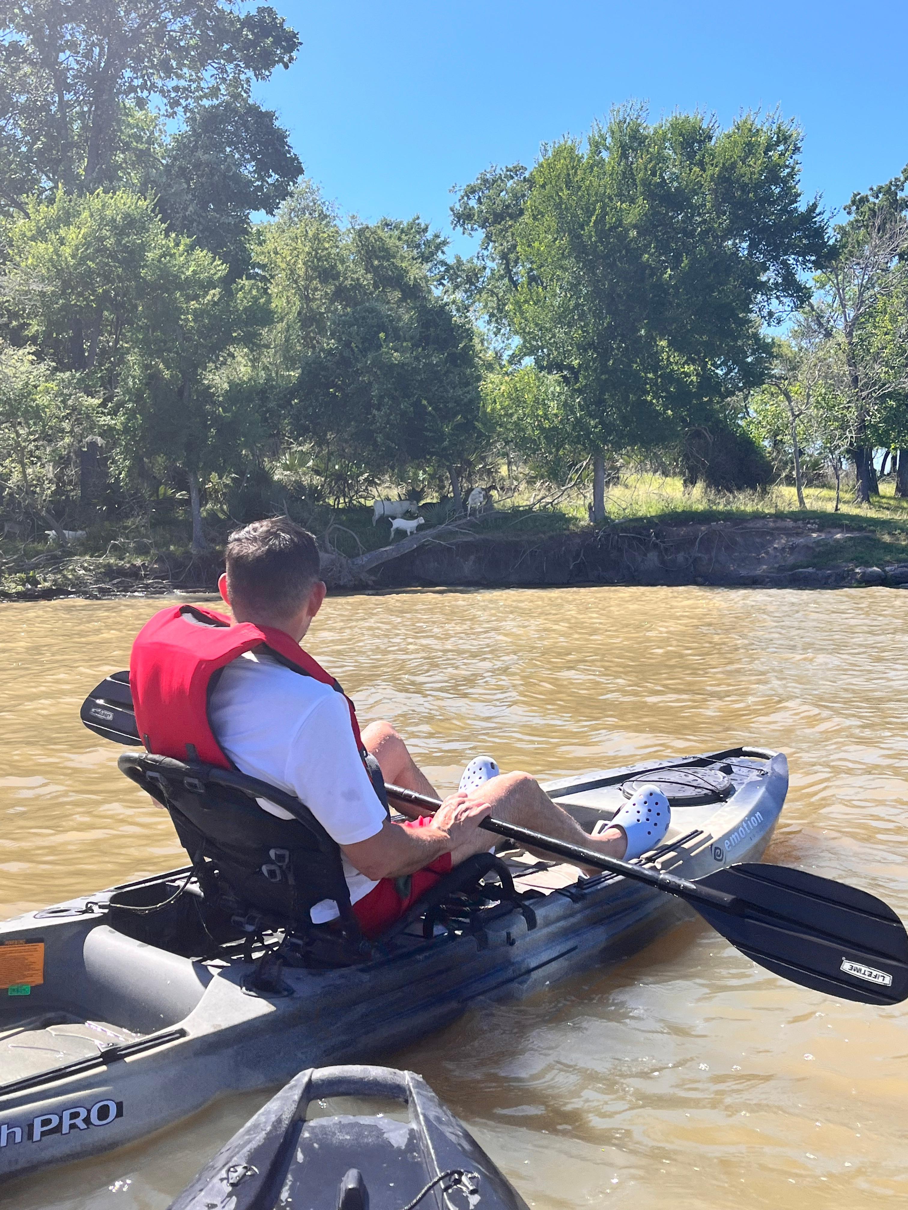 Kayaking around Goat Island (we saw about 12 goats)