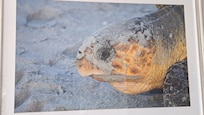 Photo in the lobby.