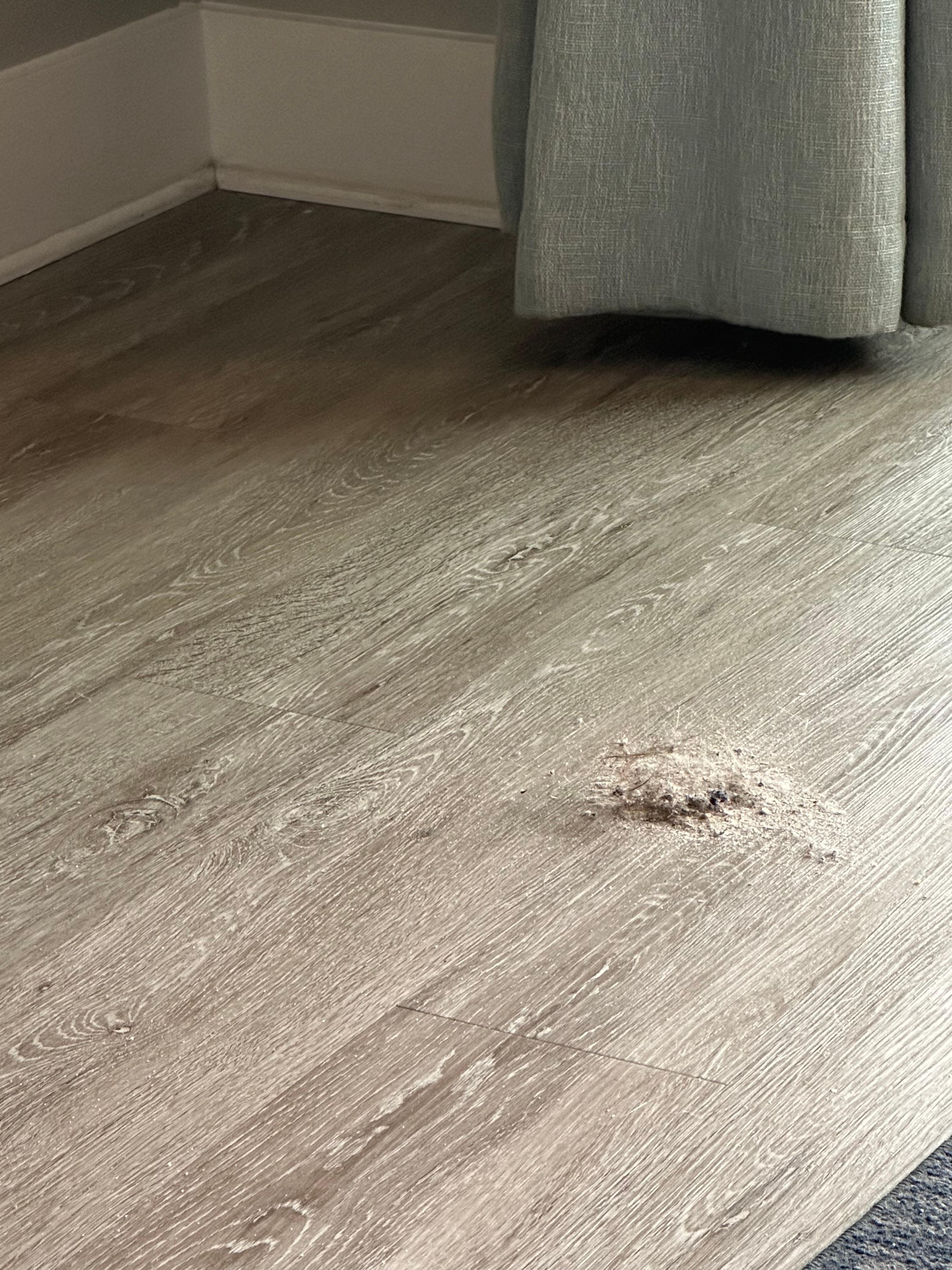 Dirt swept just in the living room the day we arrived.