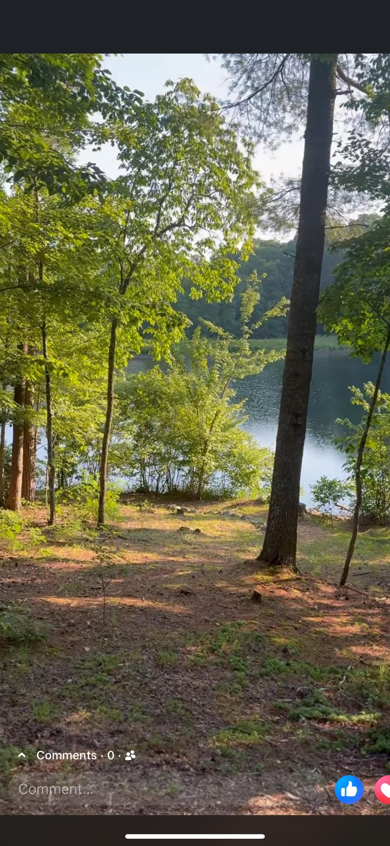 View from the cabin porch