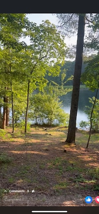 View from the cabin porch
