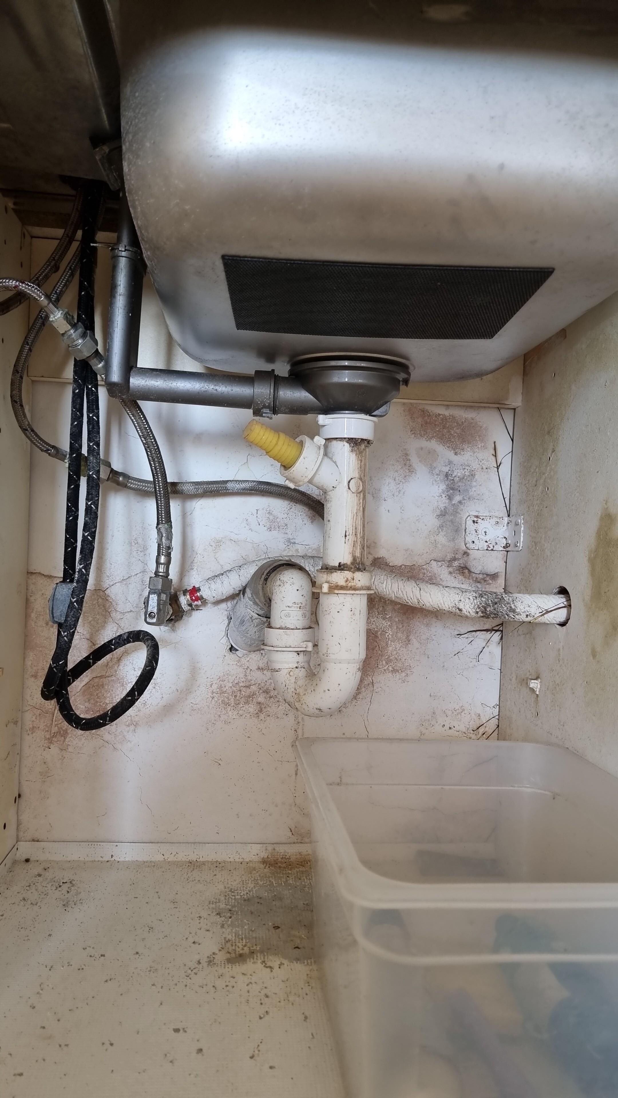 Under sink in separate 1 bed/lounge quarter (after  we complained) mold is set in, also on ceiling and the smell is pungent.