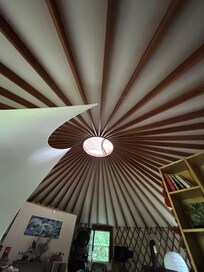 Gorgeous ceiling