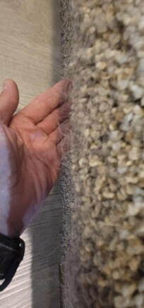 Clumps of hair in the carpet