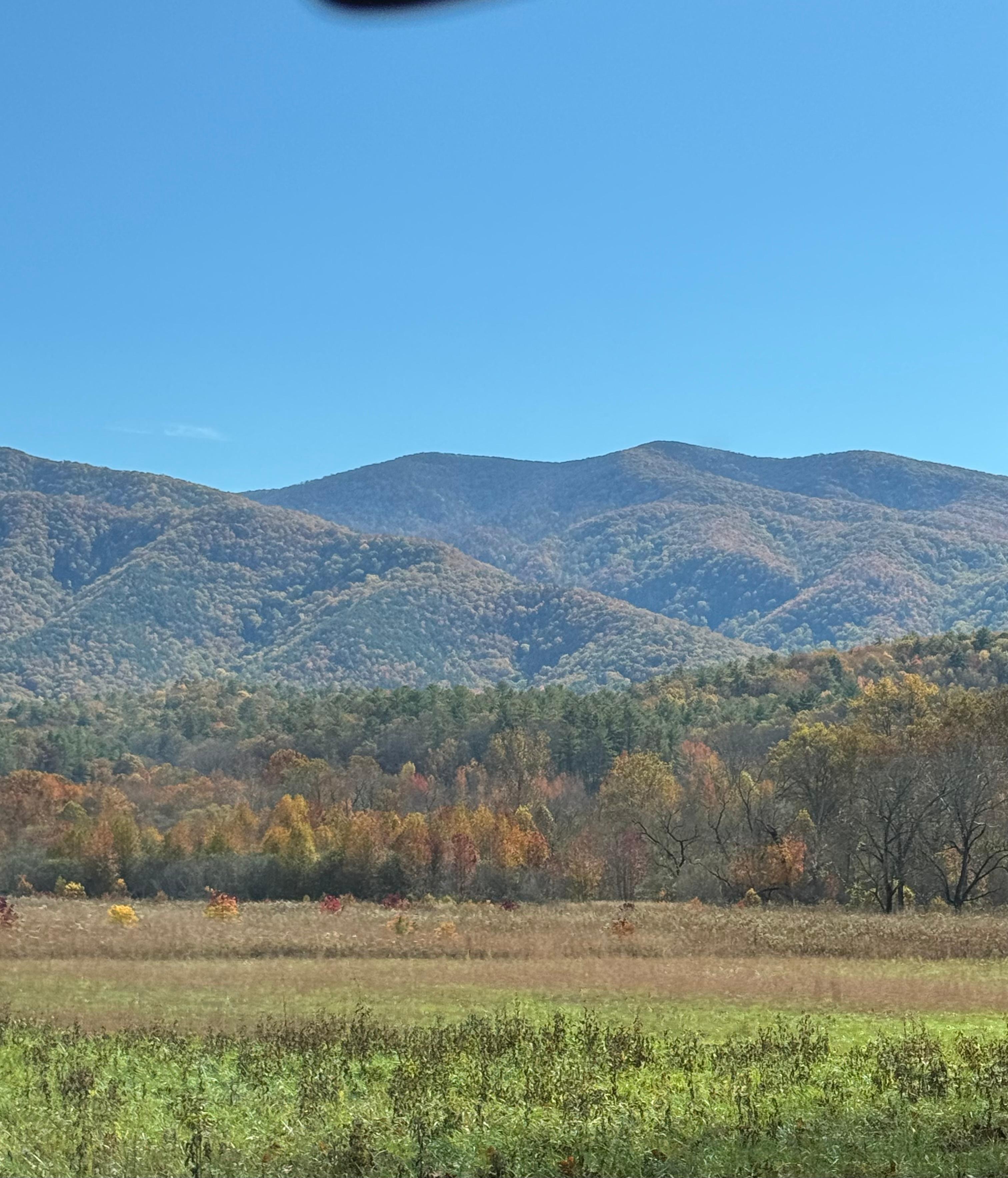 Beautiful views at Cades Cove 
