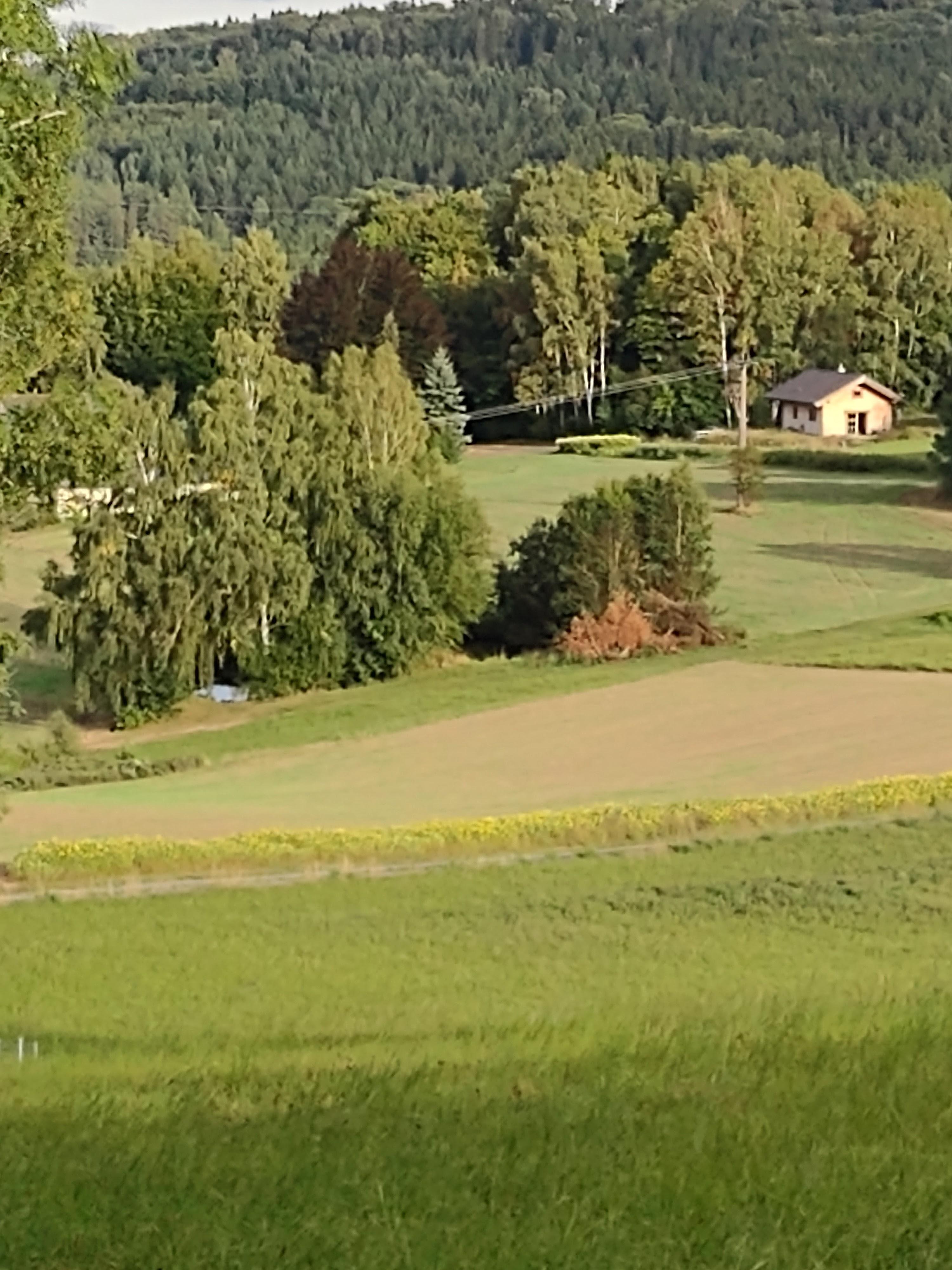 Blick vom Schlossberg