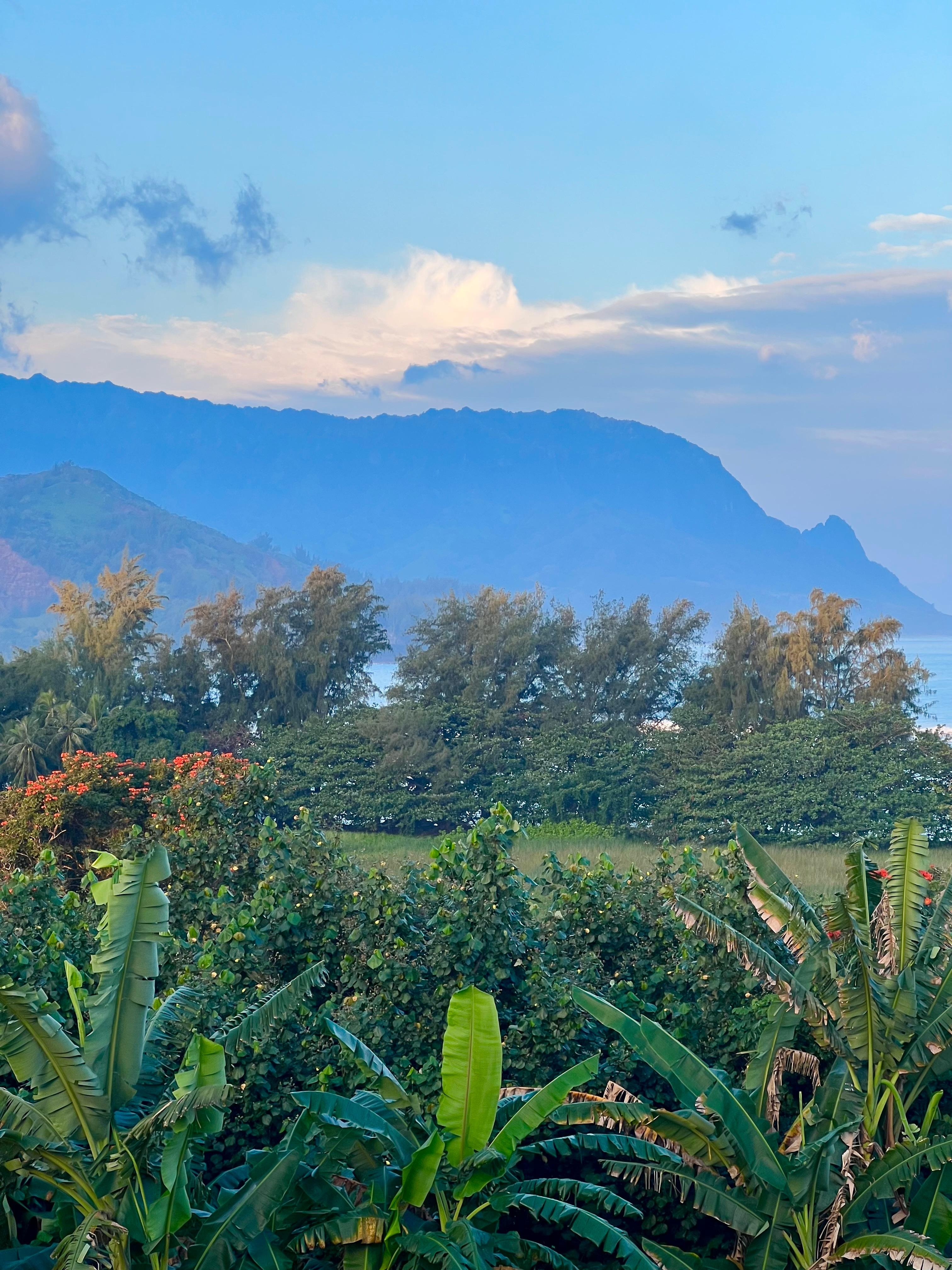 The view from the deck