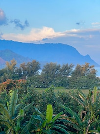 The view from the deck