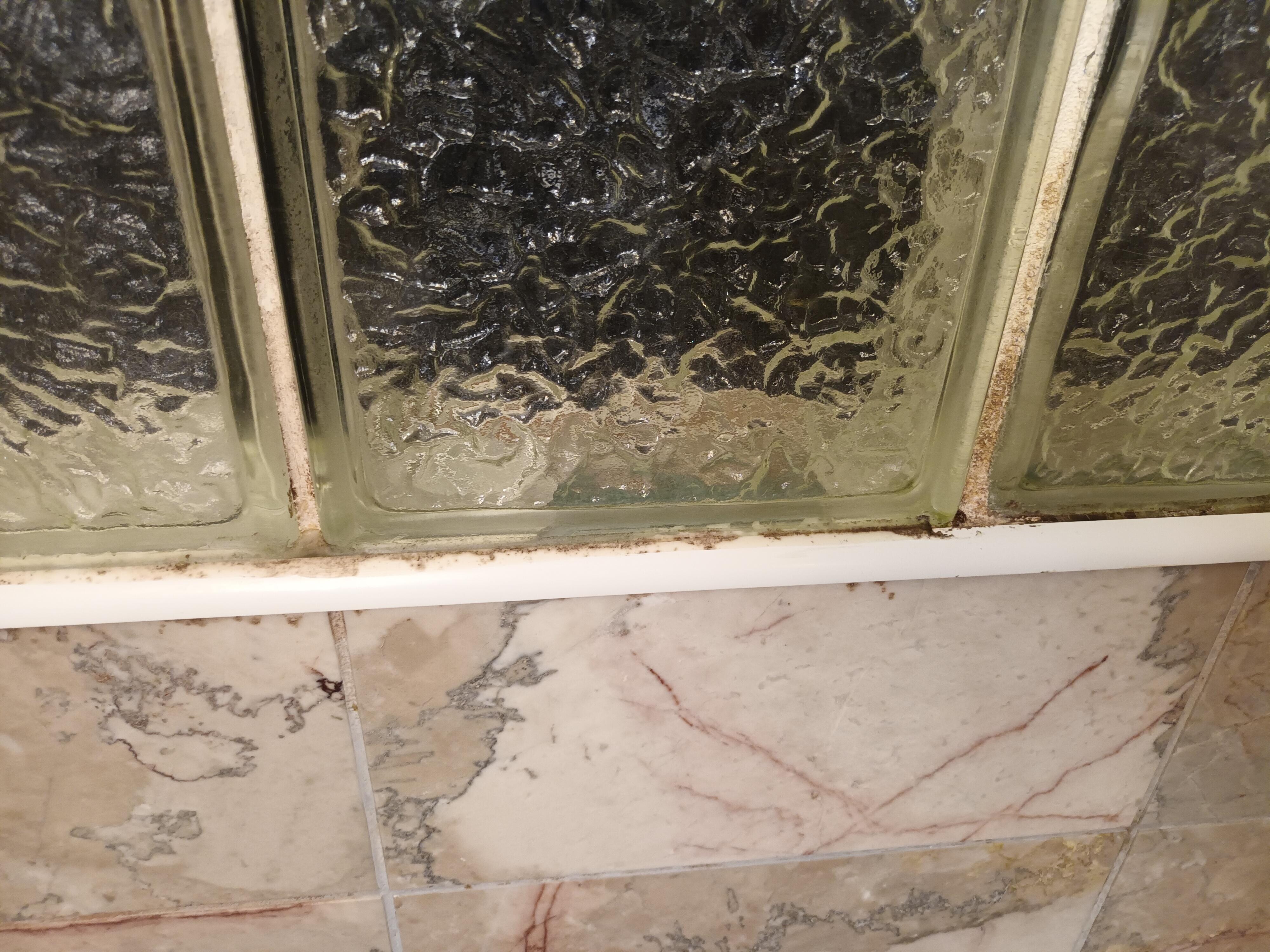 Black mold in the shower. Odd quarter round trim is also present here.