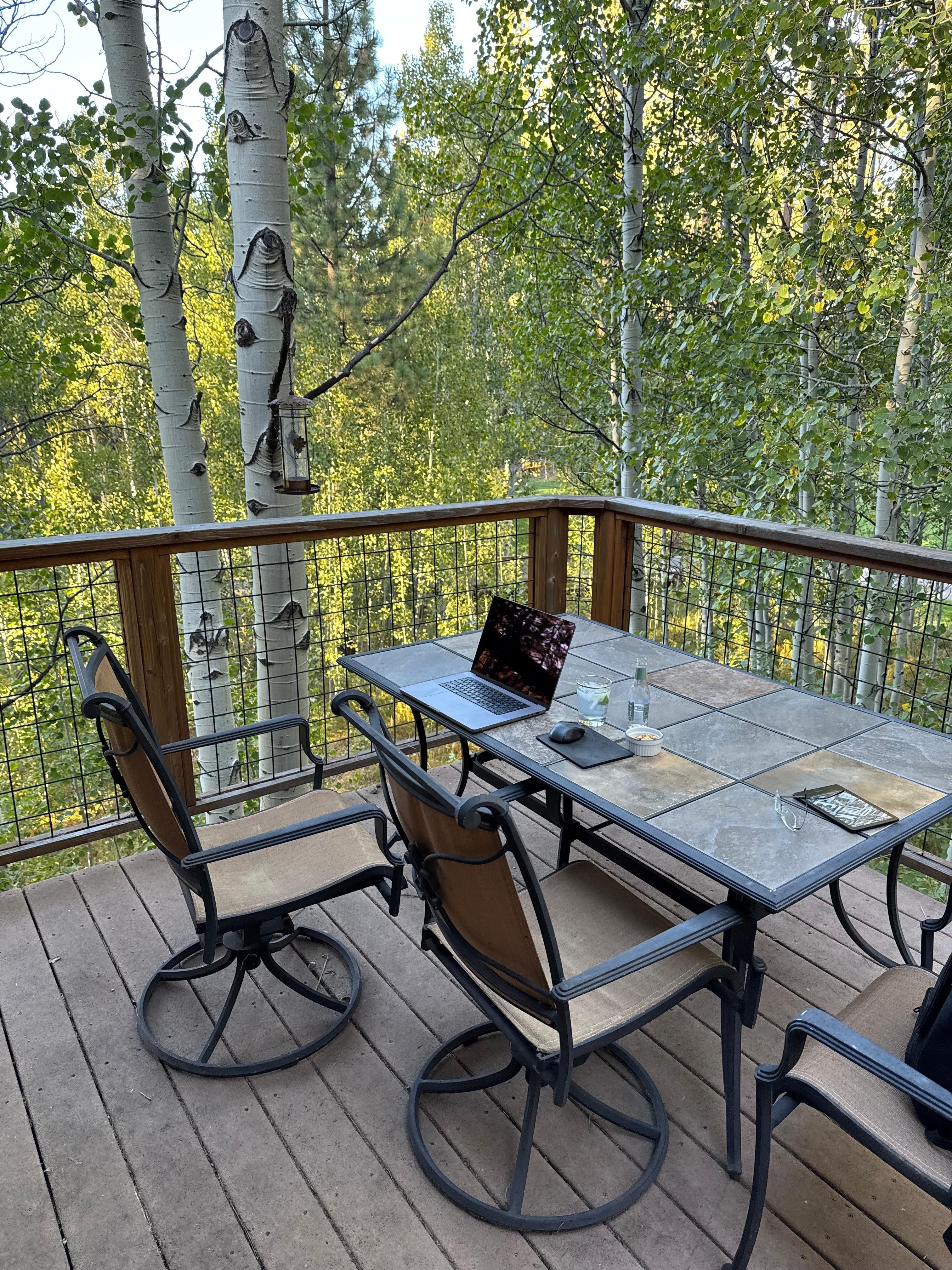 I set up for some work on the back deck. 