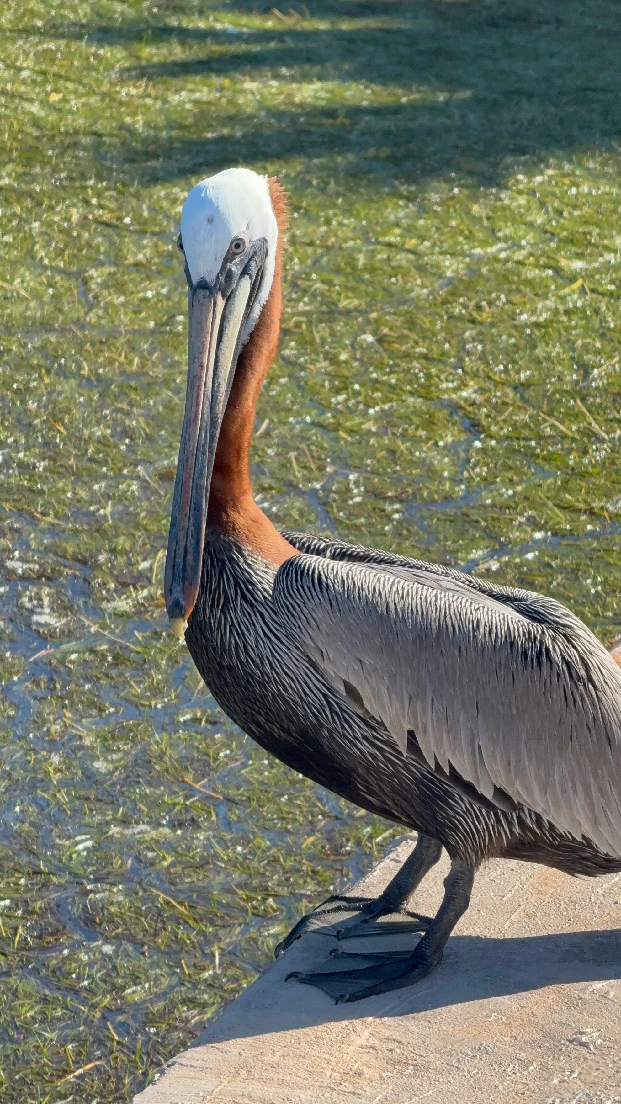 Up close and personal! 