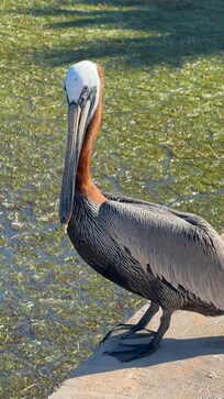 Up close and personal!