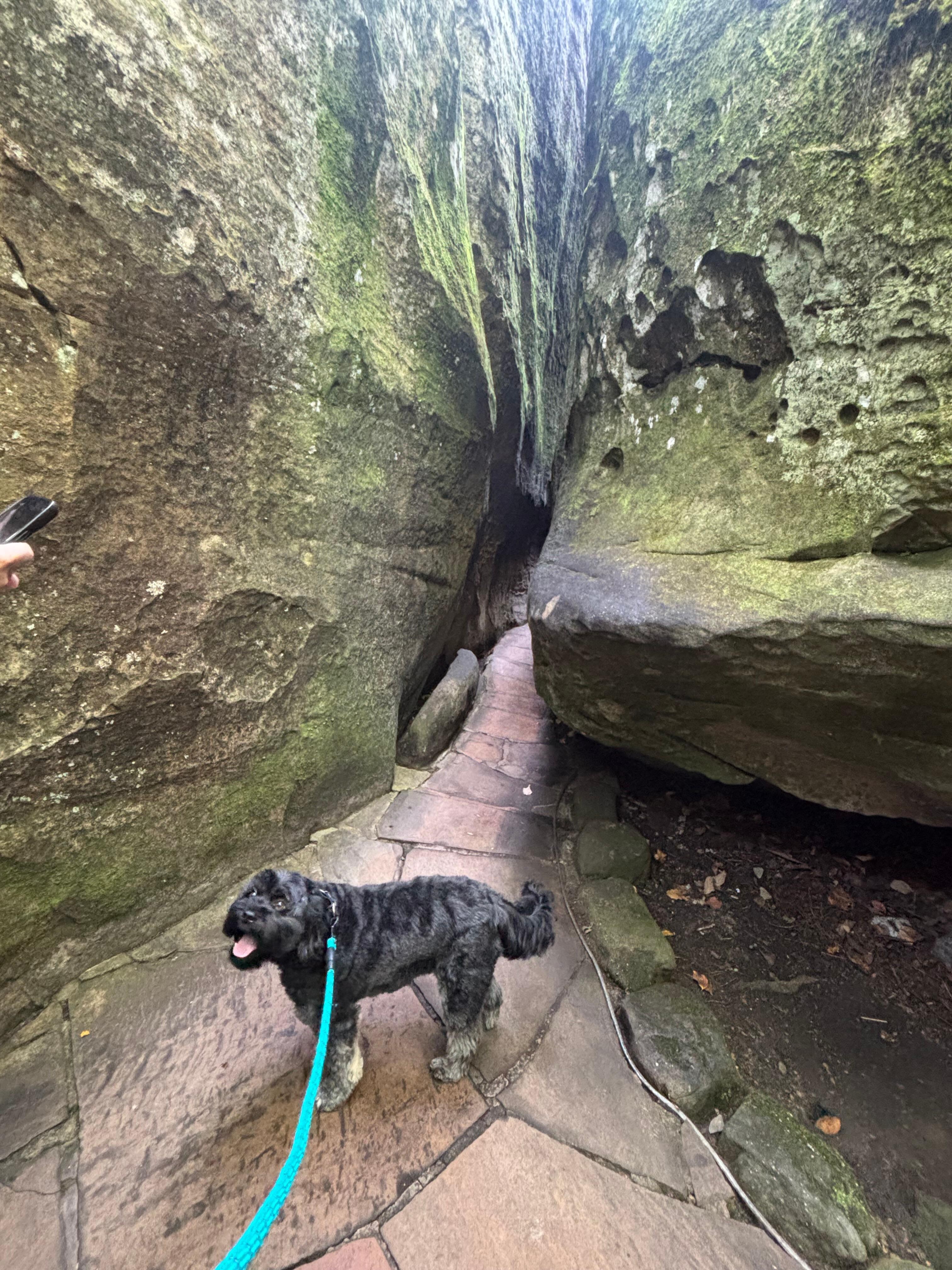 Rock City - my favorite place we visited! Only a 25-30 mins beautiful drive! 