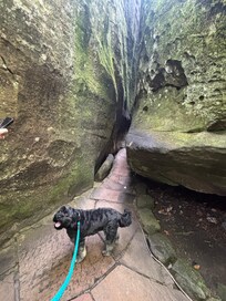 Rock City - my favorite place we visited! Only a 25-30 mins beautiful drive!