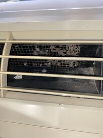 Nasty inside air conditioner.