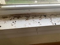 Window sill in garage