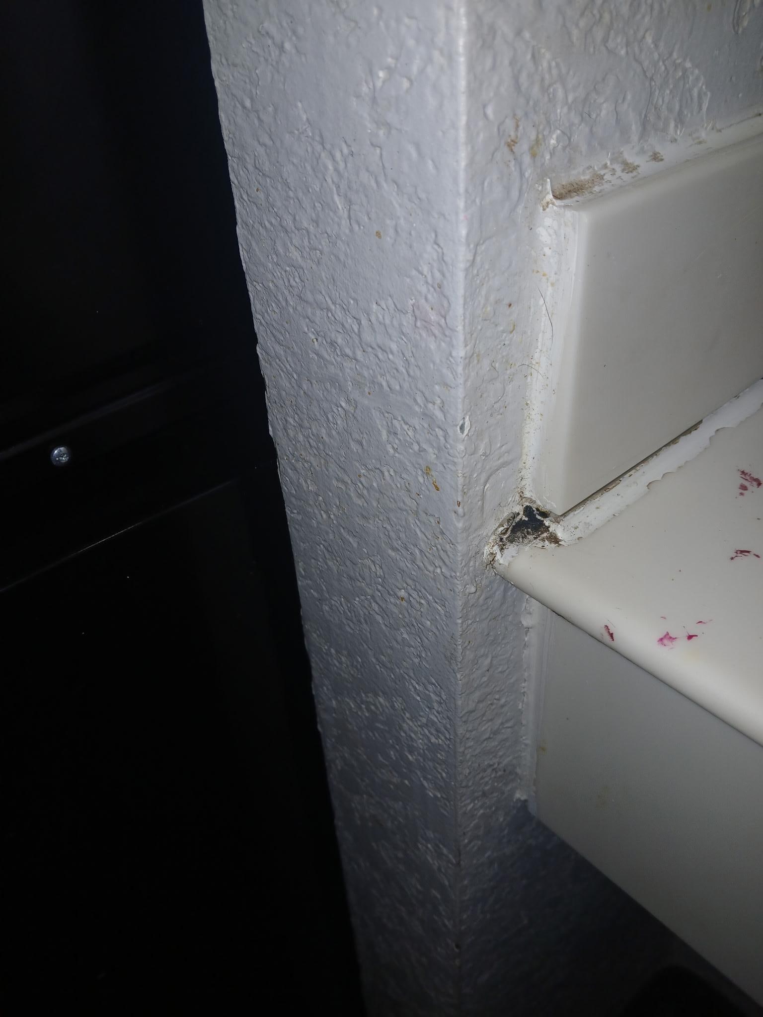 Riach nest in hotel room