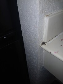 Riach nest in hotel room