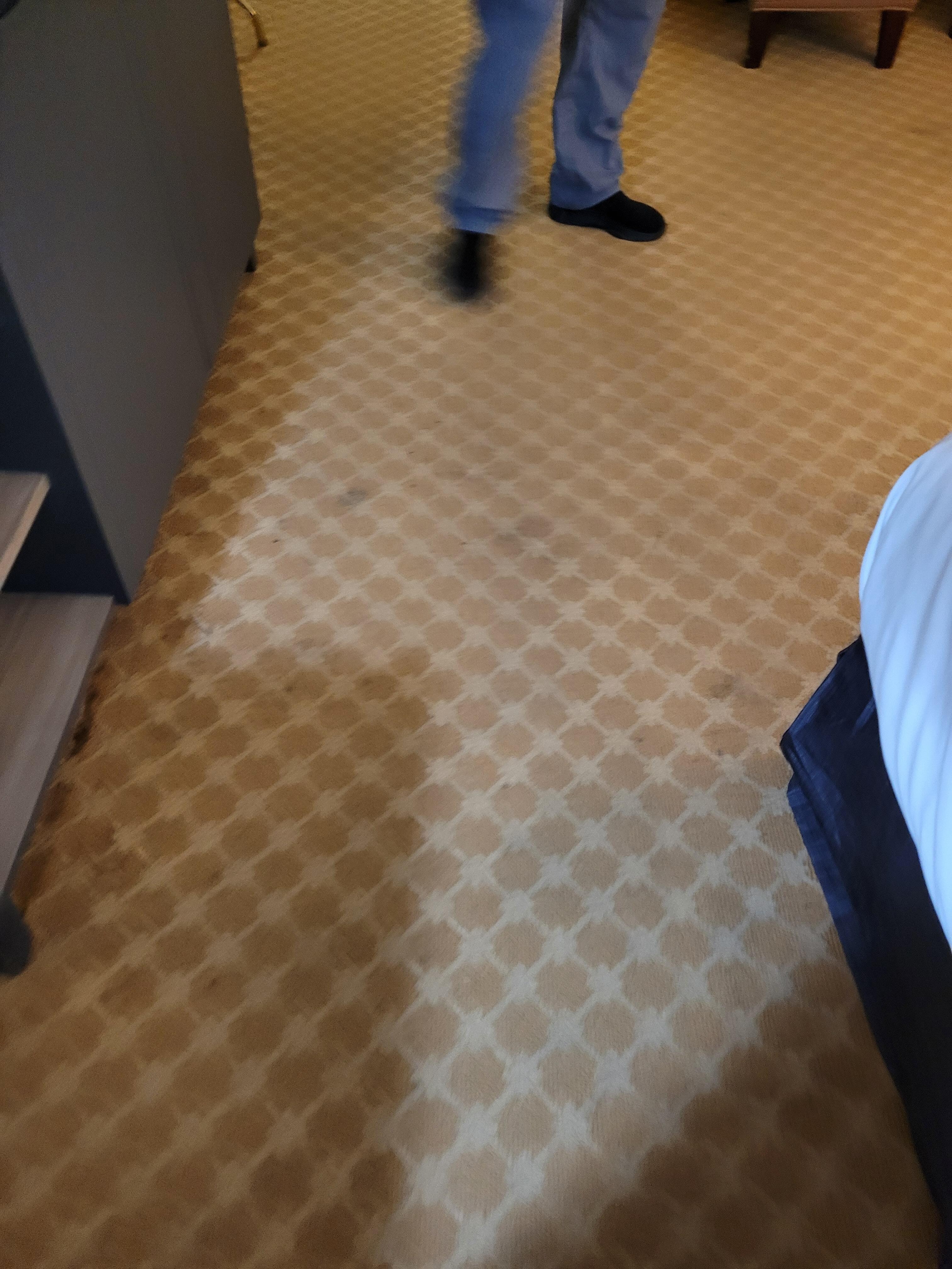 Carpet filthy