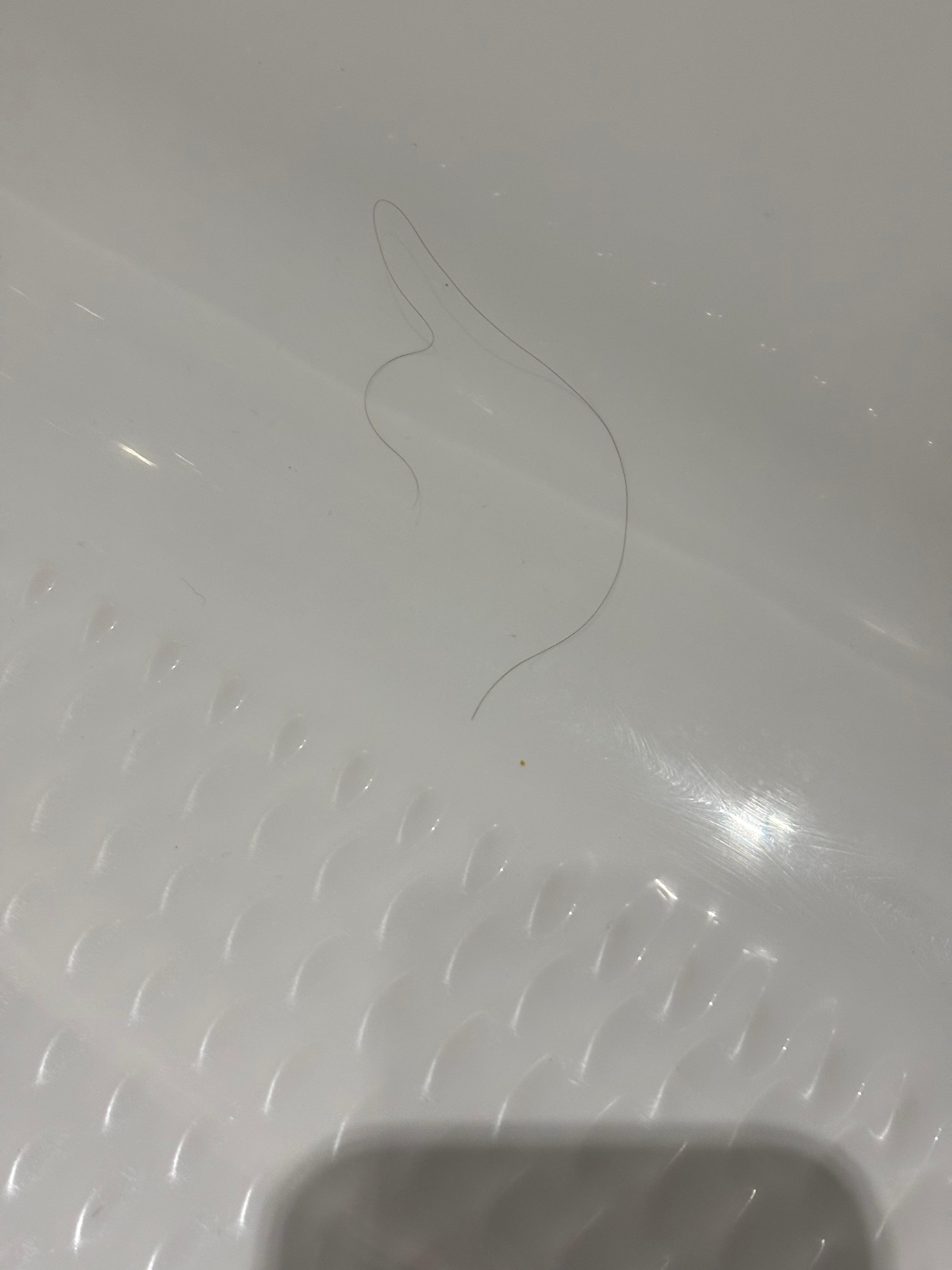 Sorte hår i badekarret