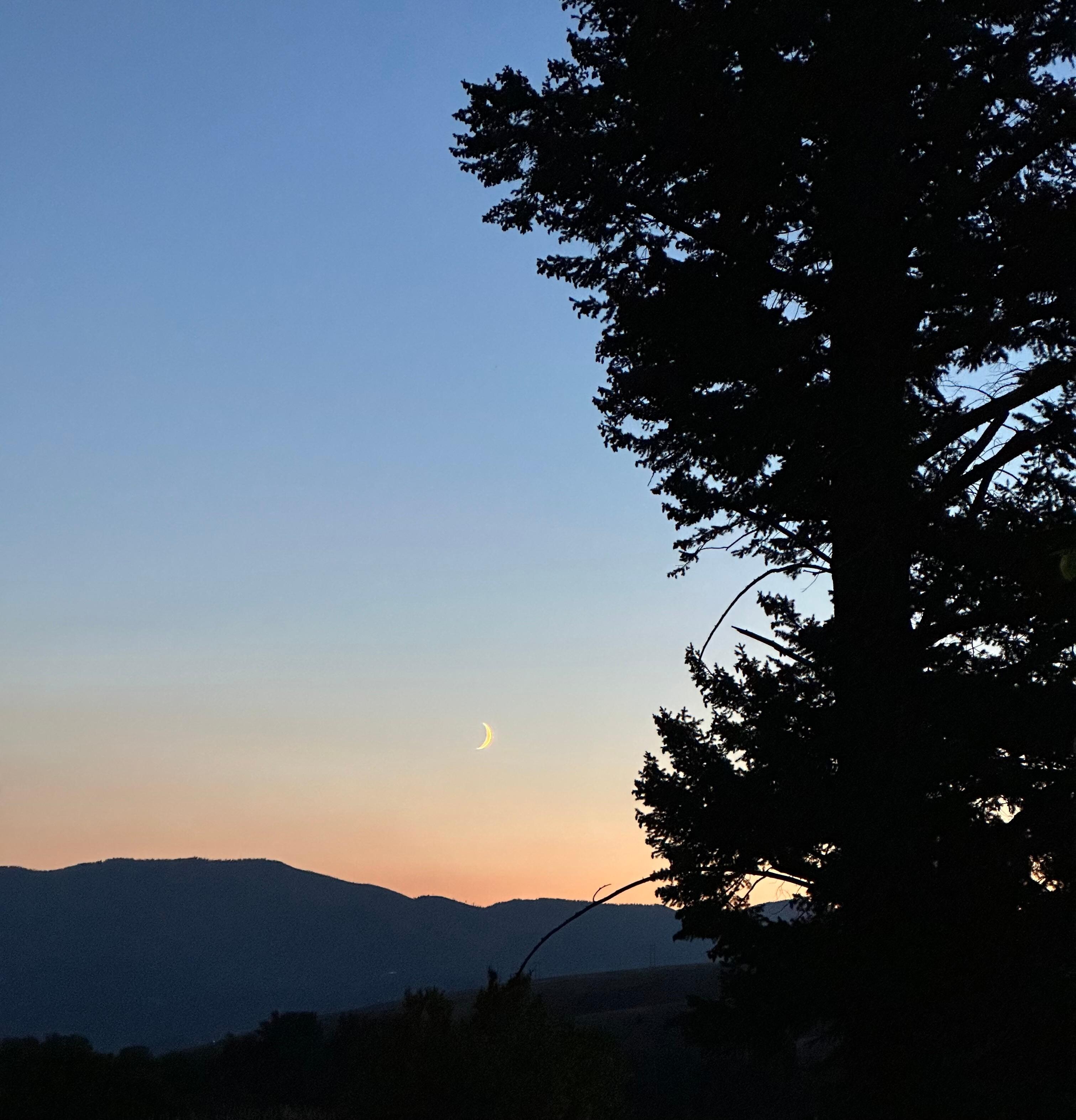 View from the patio.