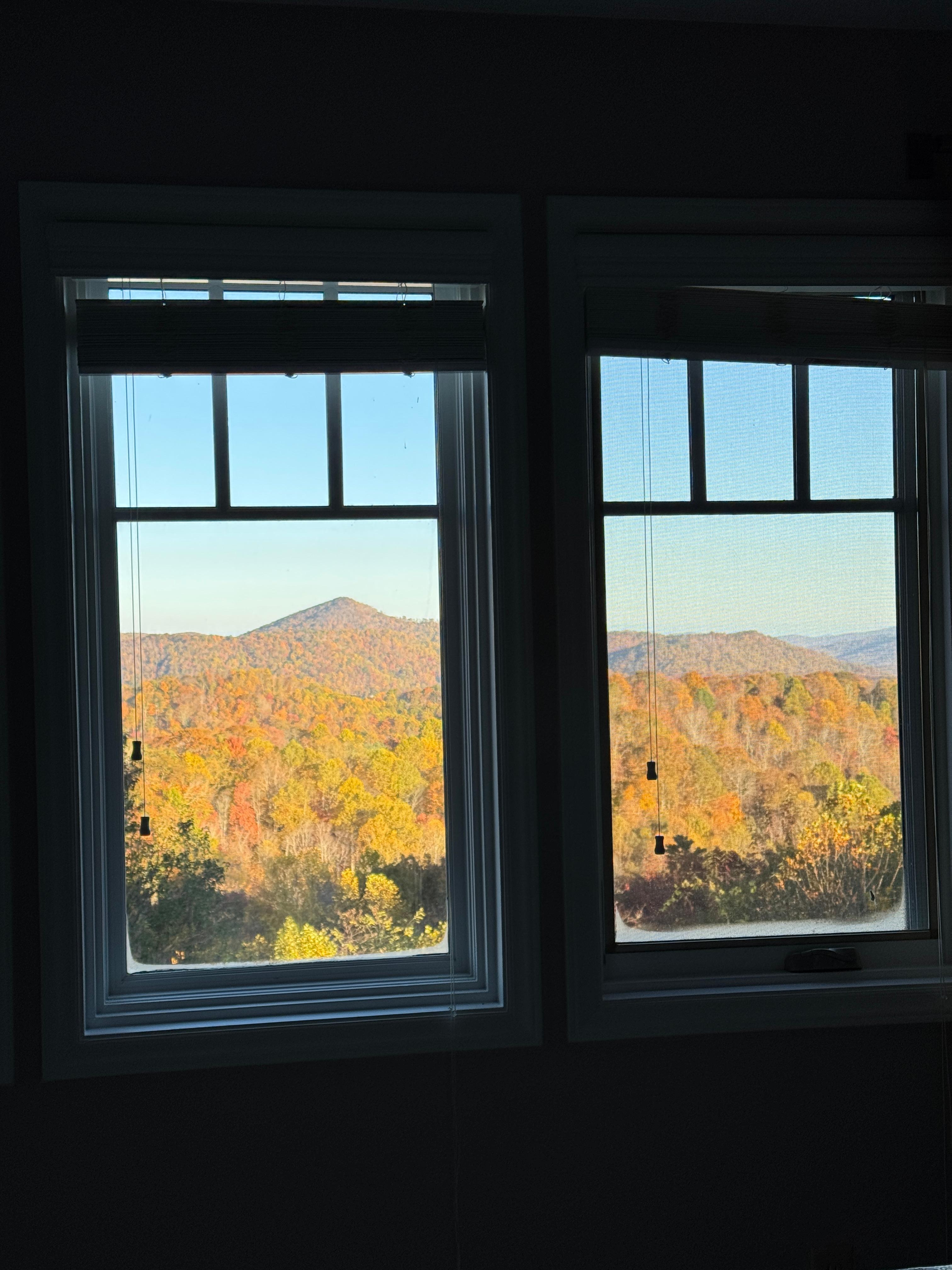 Bedroom view from 2 windows 