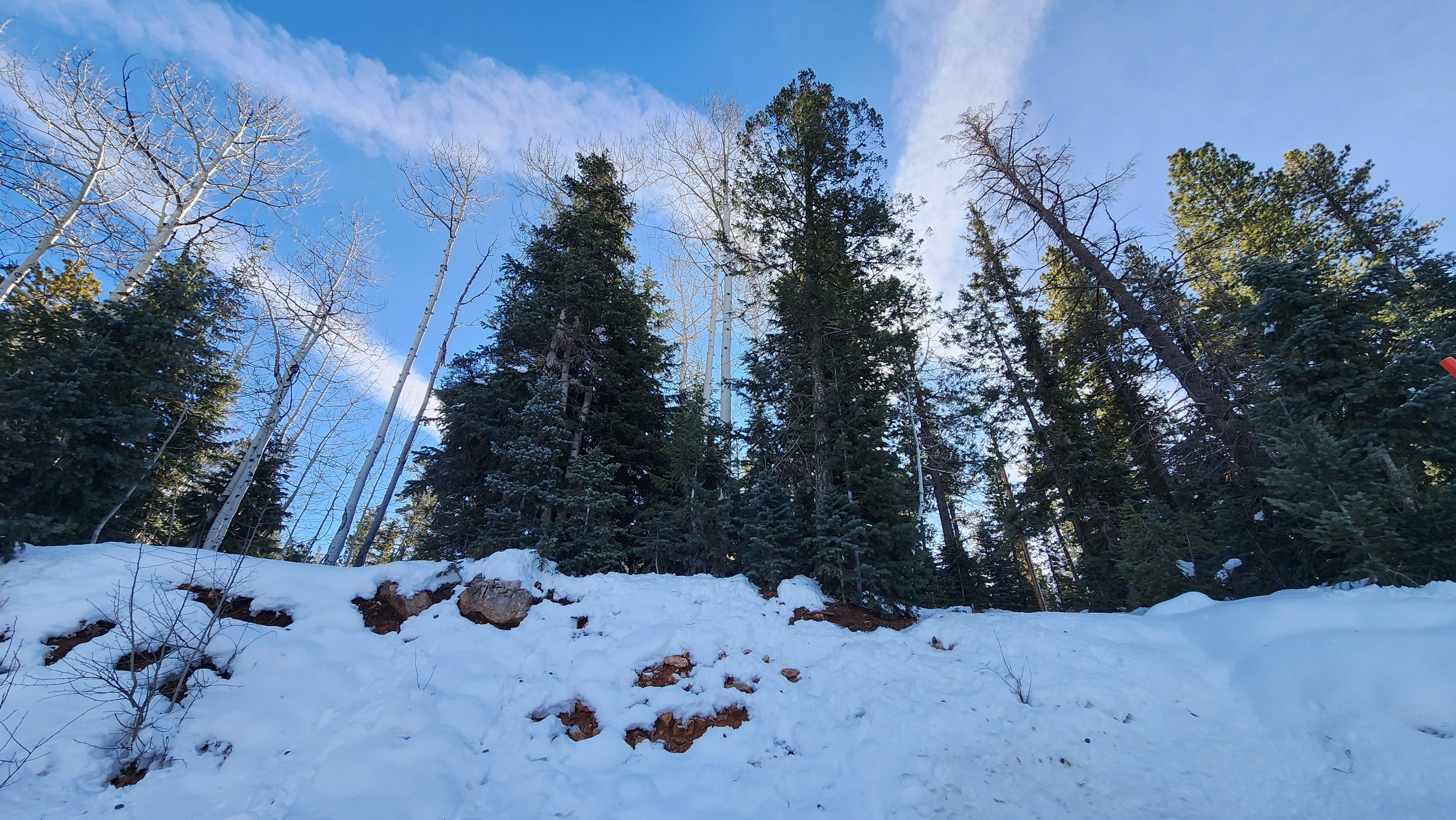 View front the entrance.