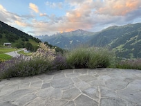 View from the patio.