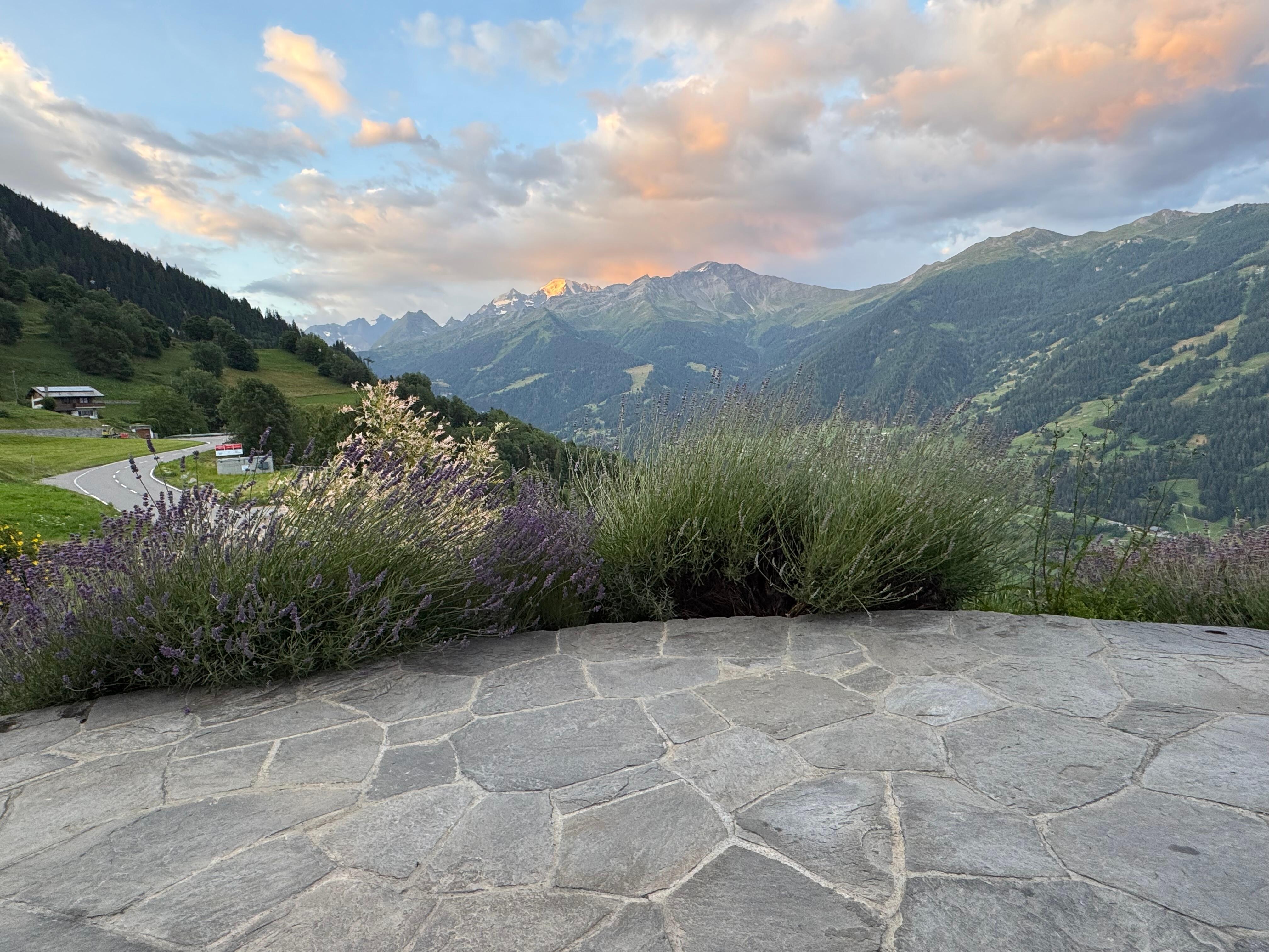 View from the patio. 