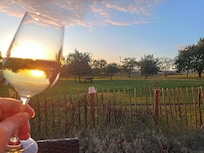 Auf der Terrasse lokalen Wein genießen