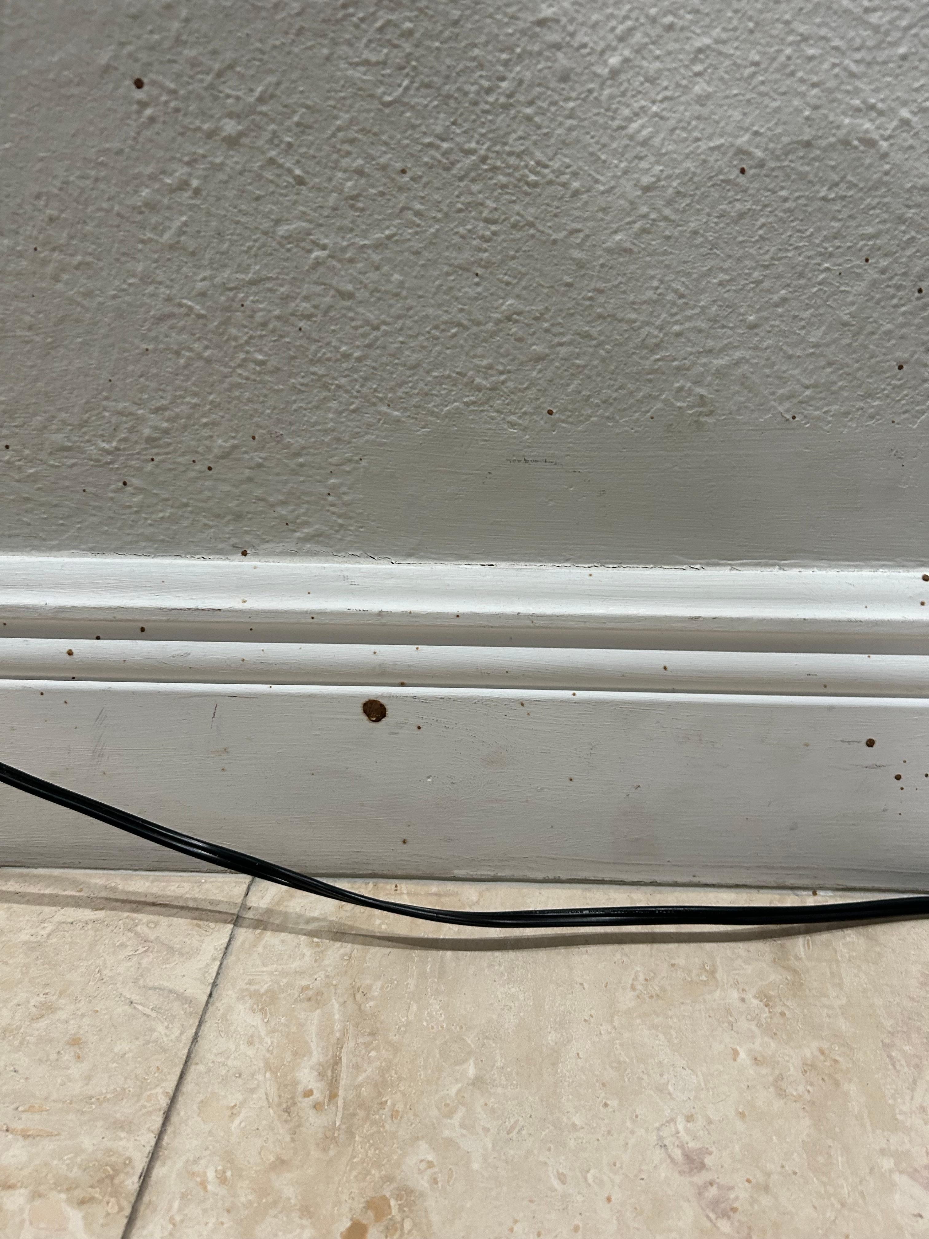 Substance splattered on wall, floor and side table in bedroom. Appeared to be blood 