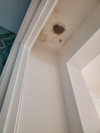 ceiling mold first floor master