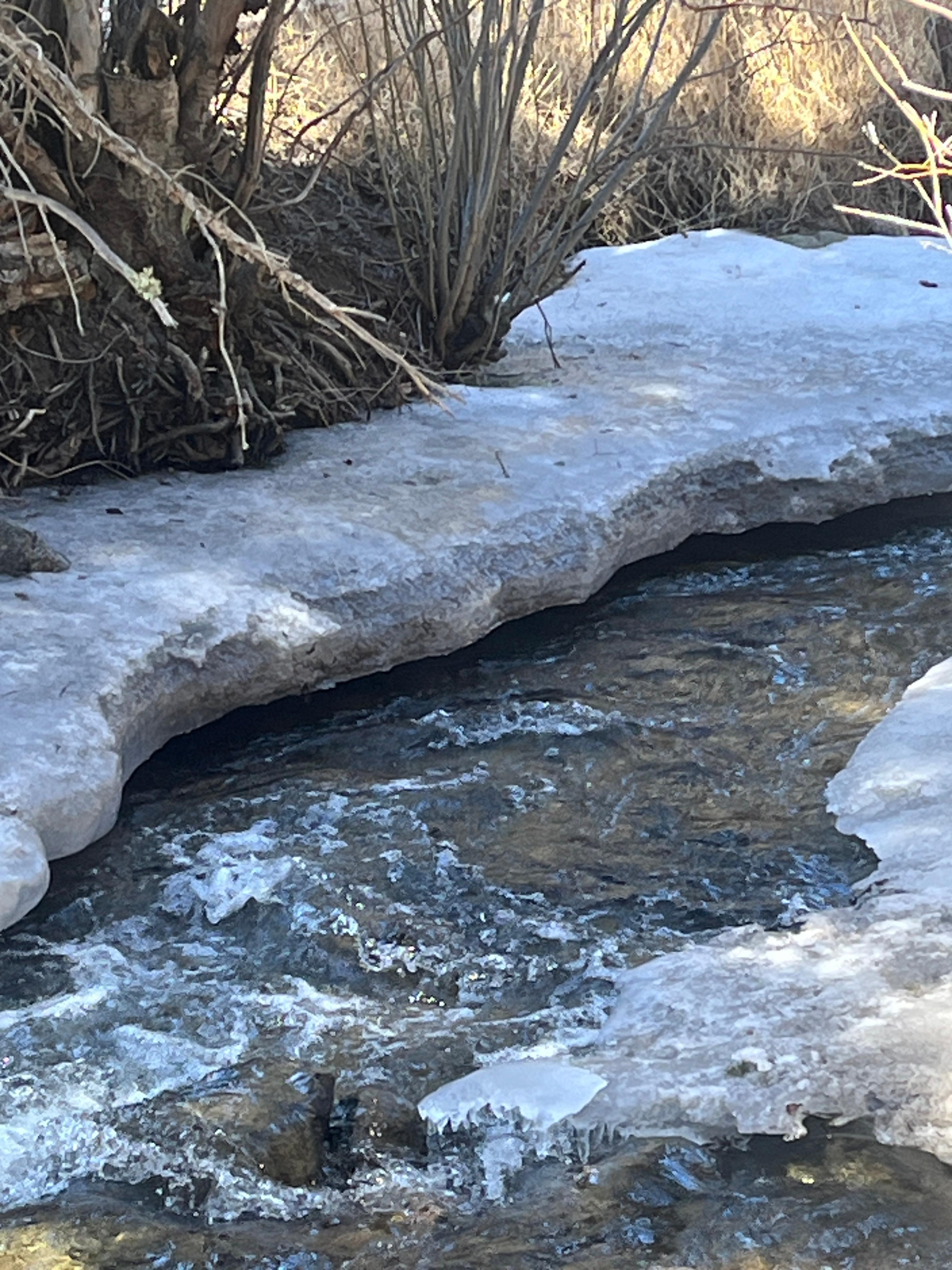 The beautiful river steps away from the house.