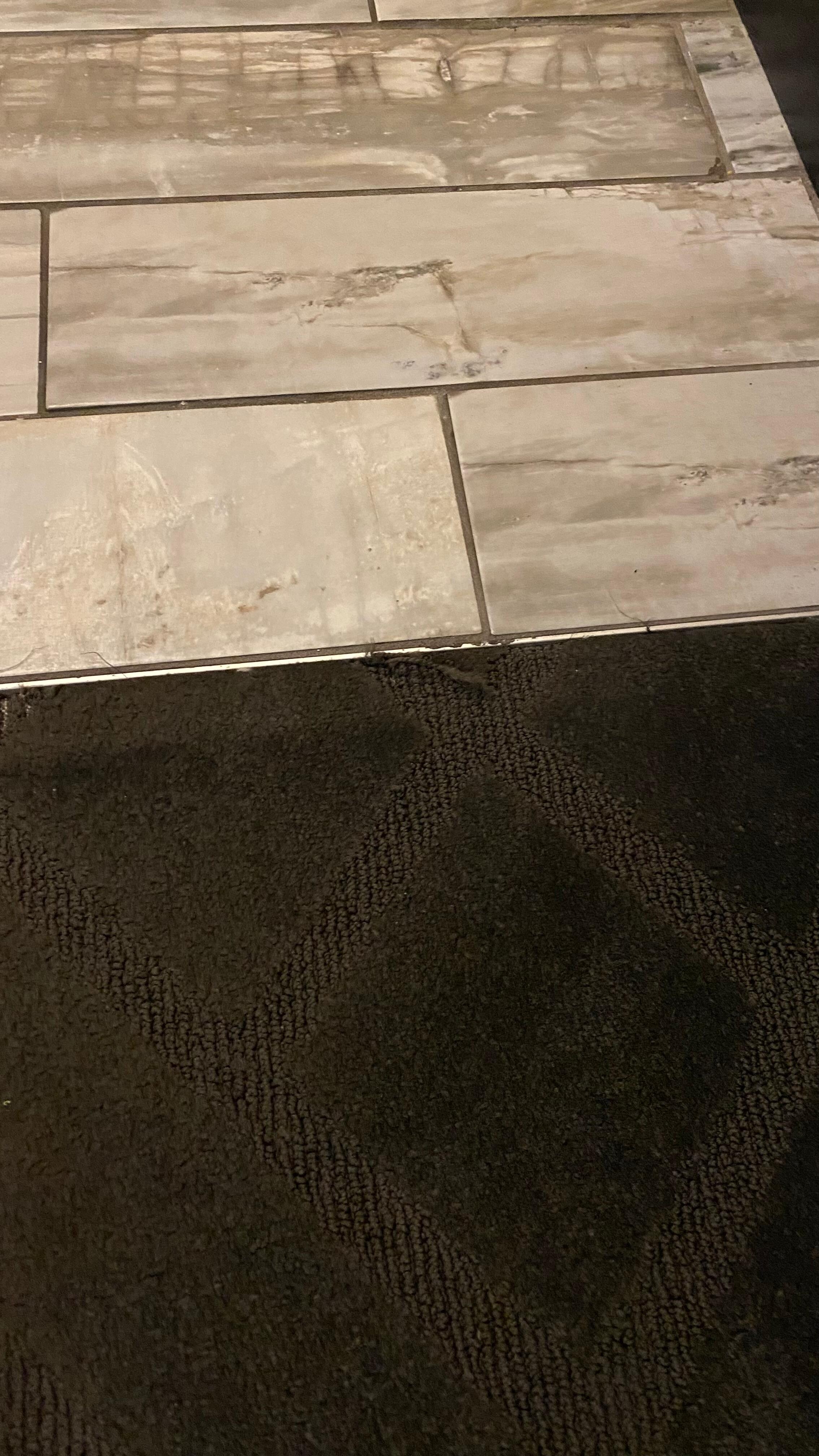 Torn/ripped carpeting 