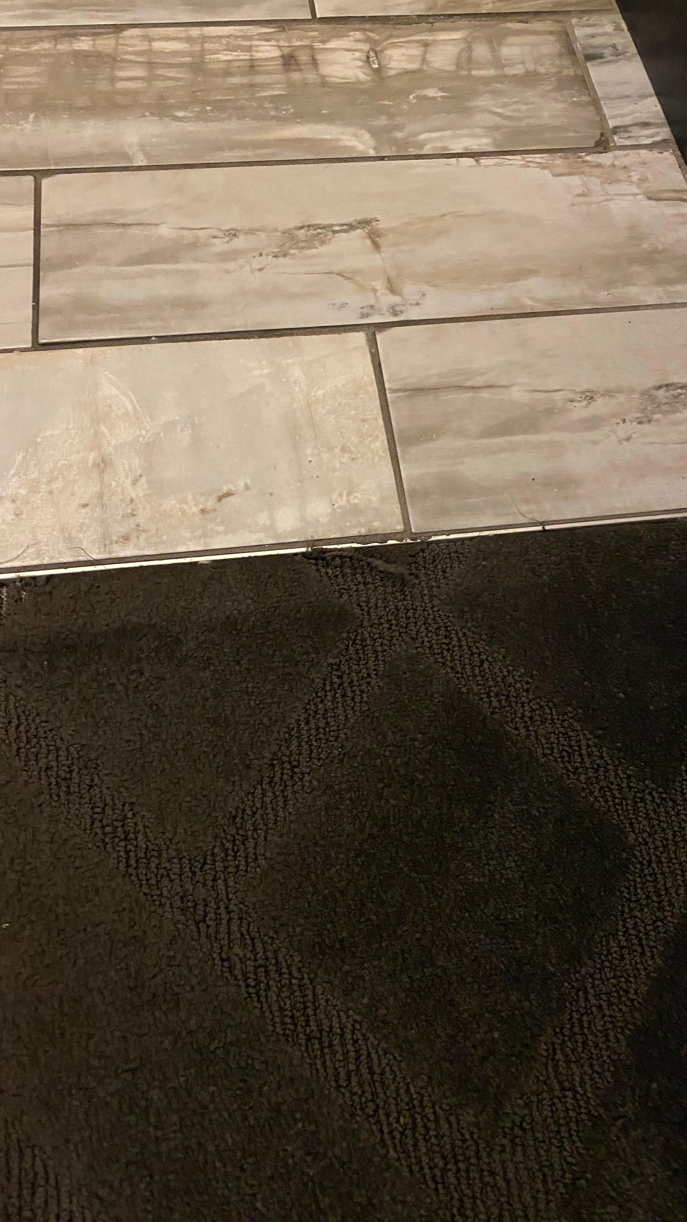 Torn/ripped carpeting