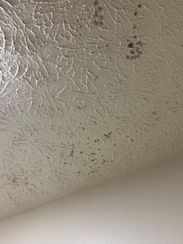 Mold on ceiling