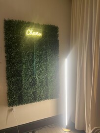 Great selfie or streaming corner