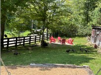 wild turkeys visiting