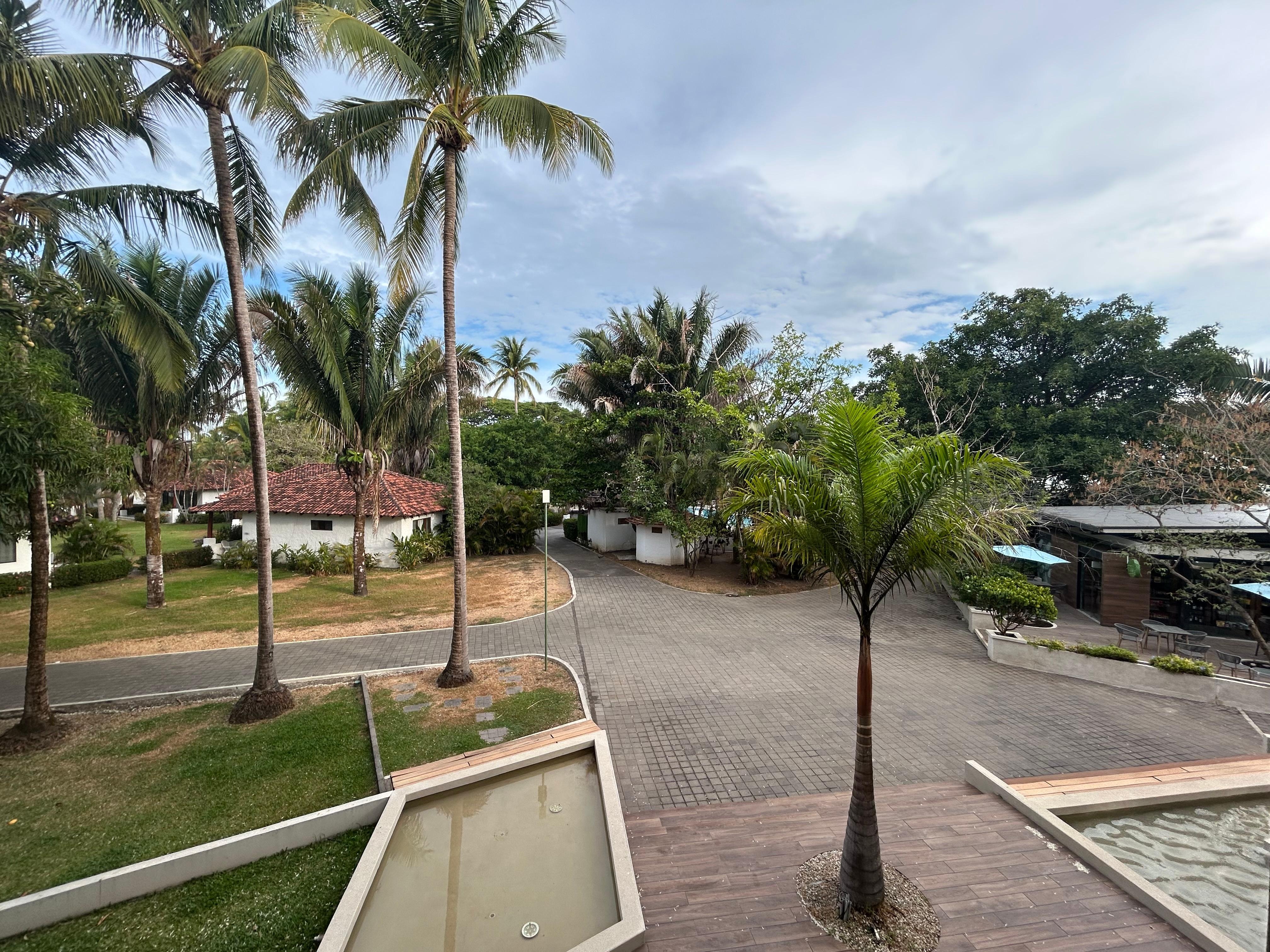 Room with garden view 