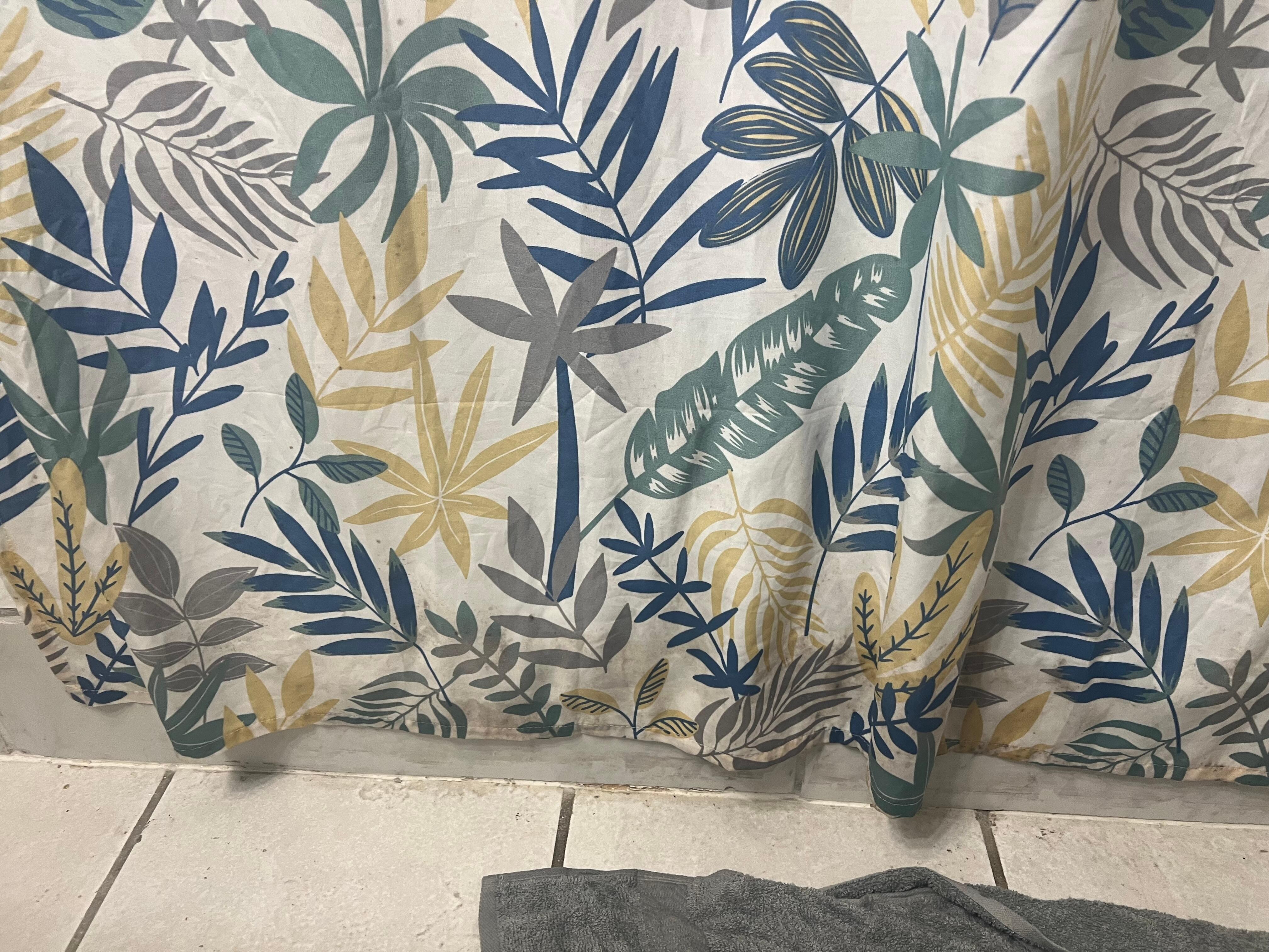 Shower curtain. Mildew/mold was all over it.