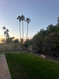 Great yard with plenty of activities for kids and adults